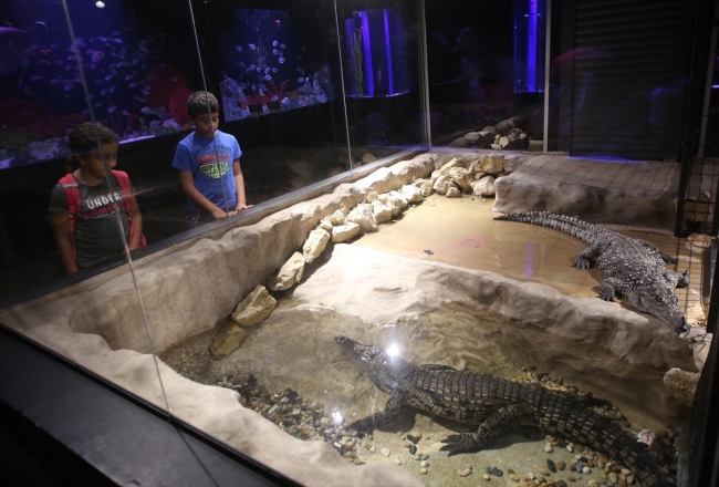 Filistin Akvaryumu, Batı Şeria'nın "denize açılan penceresi"